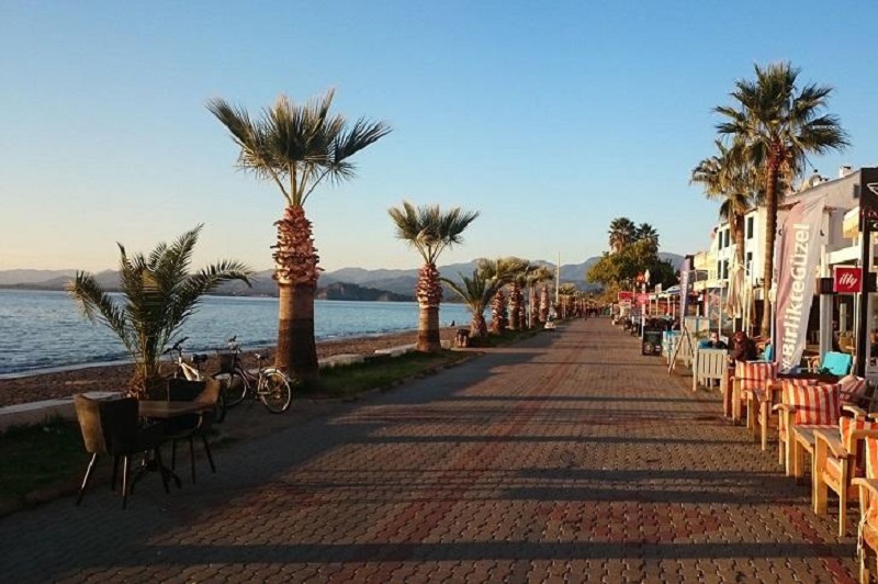 Beautiful coastal walking path with palm trees and sea view